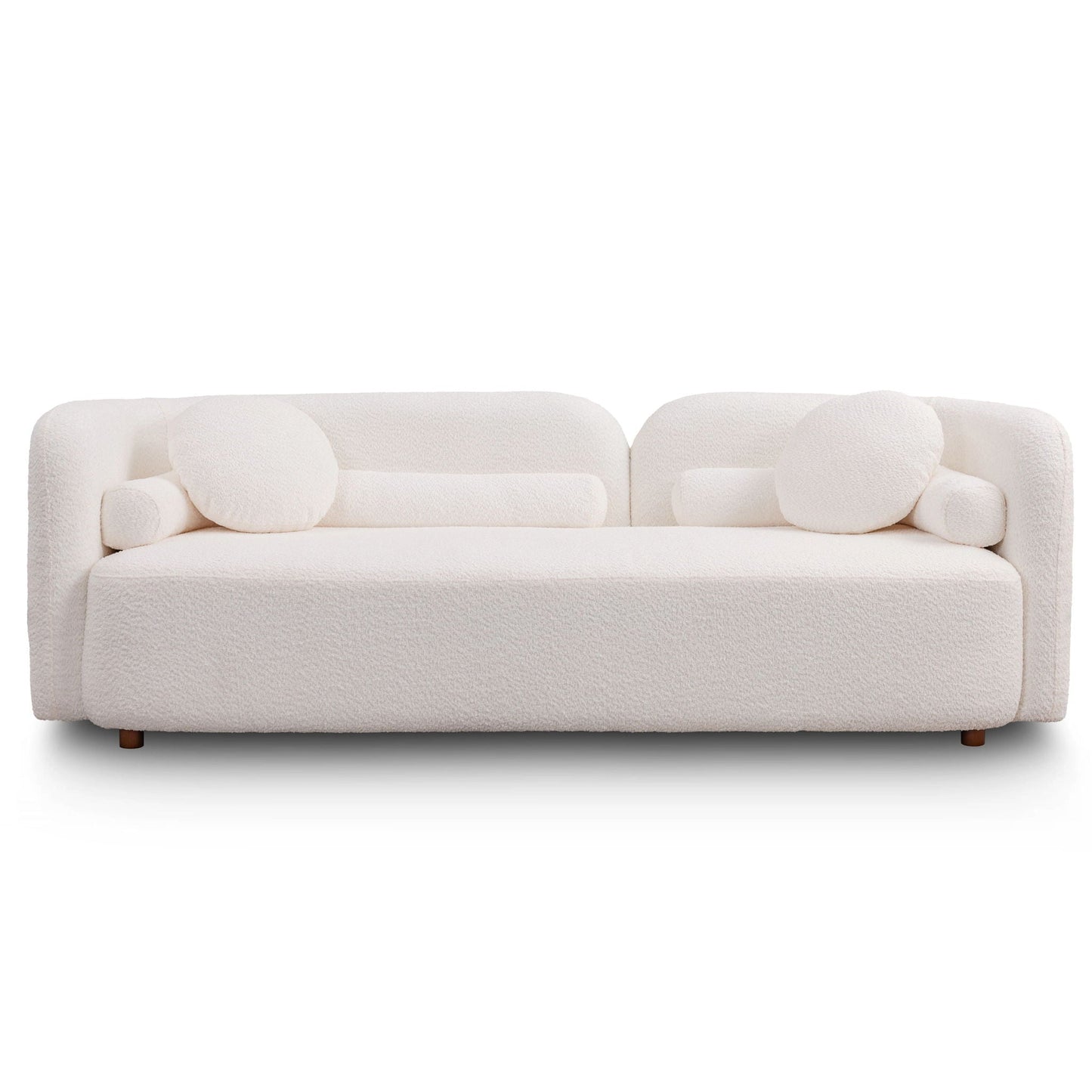 Luxury Modern Couch