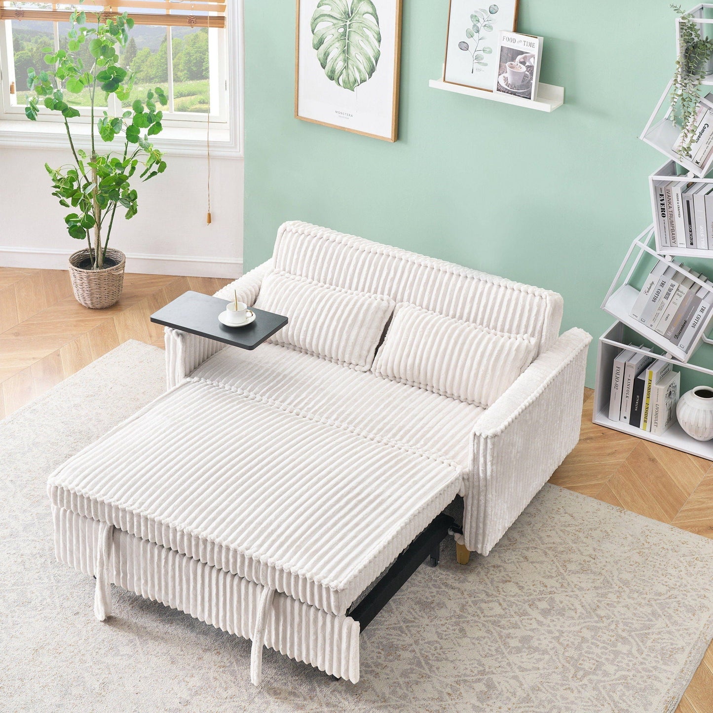 Pull Out Sofa
