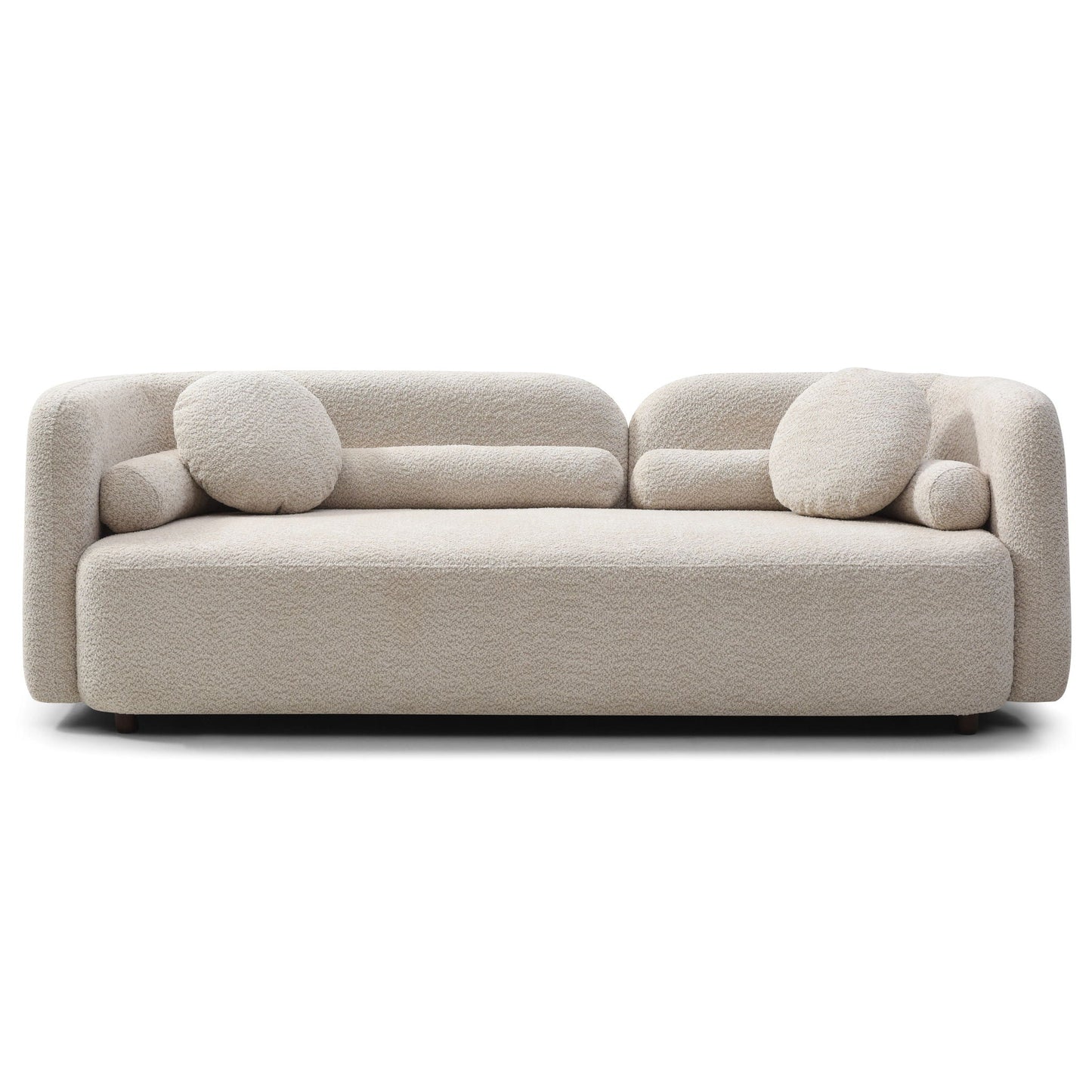 Luxury Modern Couch