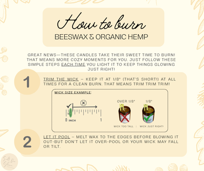 Cozy Season Favorites Beeswax Candle Bundle | 4 Pack