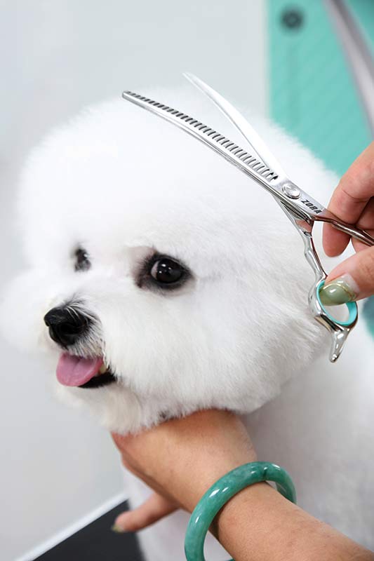Pet Grooming Curved Blender Shear
