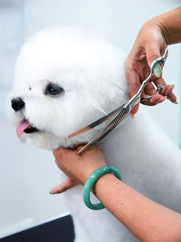 Pet Grooming Curved Blender Shear