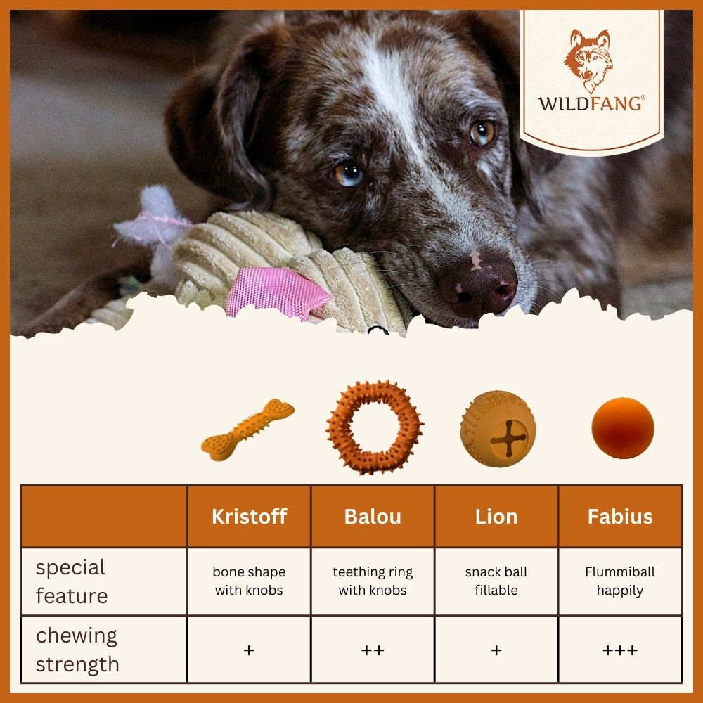 Chew toy throwing pumpkin "Winnie" - 100% natural rubber