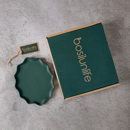 BosilunLife Bring Nature Inside Dinner Plate Recycled Eco-Clay 4-pcs set