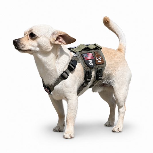 K9R - M5 MOLLE Light Vest