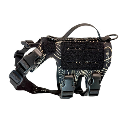 K9R - M5 MOLLE Light Vest