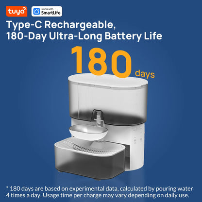 3L Timed Water Dispenser for Cats & Small Dogs, Automatic Pet Fountain,