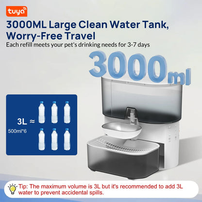 3L Timed Water Dispenser for Cats & Small Dogs, Automatic Pet Fountain,