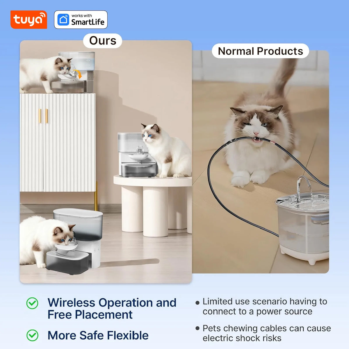 3L Timed Water Dispenser for Cats & Small Dogs, Automatic Pet Fountain,