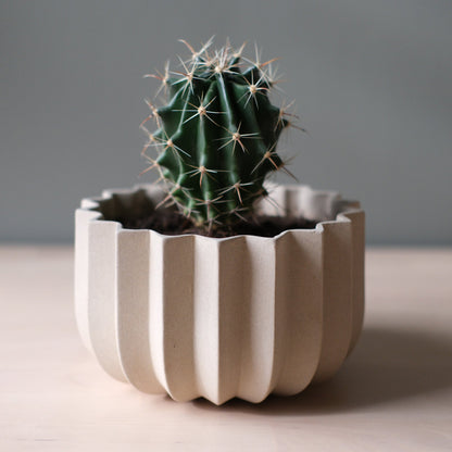 Wrap Planter - 4 sizes