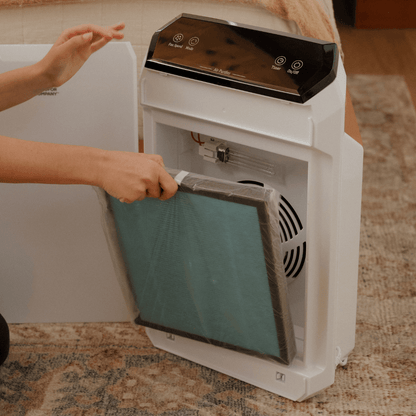 Air Filter - Replacement Filter