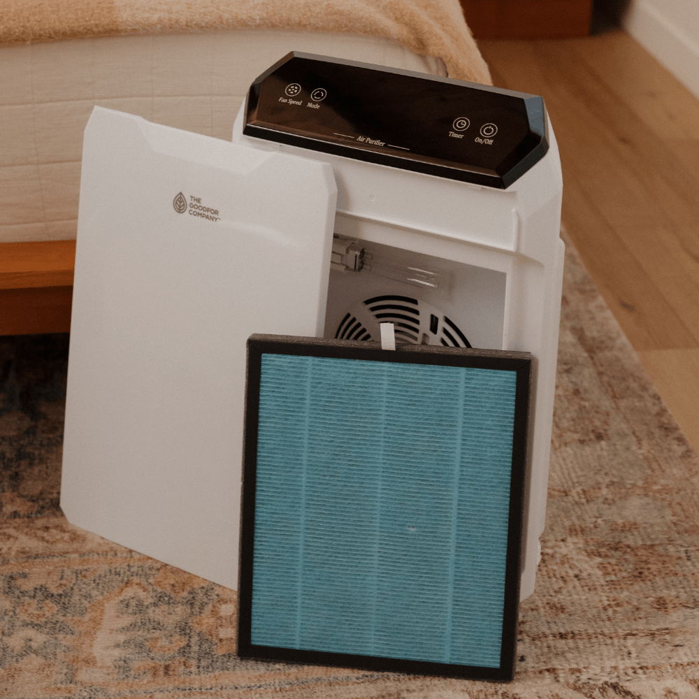 Air Filter - Replacement Filter