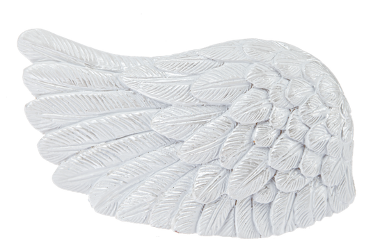 Angel Wing - With God, We Are Forgiven