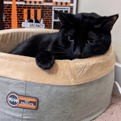 Thermo-Kitty Indoor Cat Bed