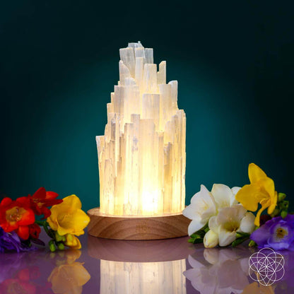 All Selenite Lamp