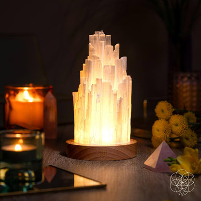 All Selenite Lamp