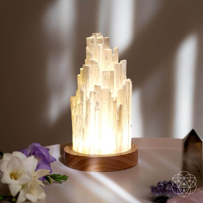 All Selenite Lamp