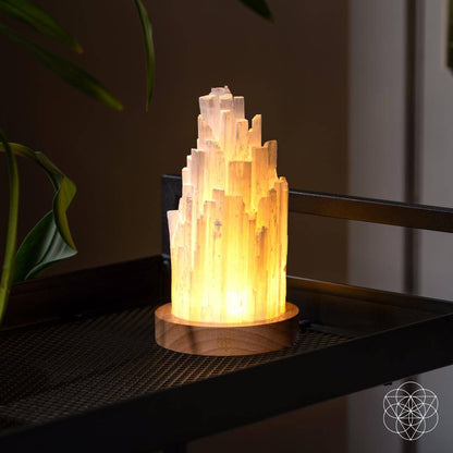 All Selenite Lamp