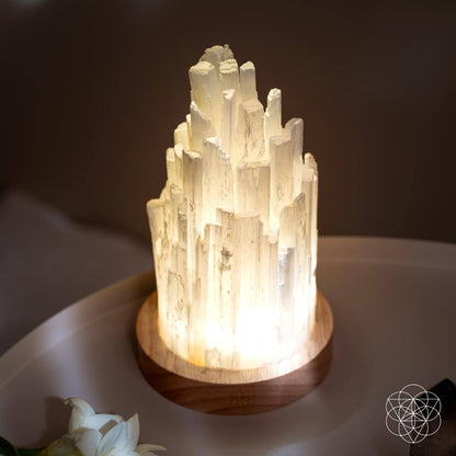 All Selenite Lamp